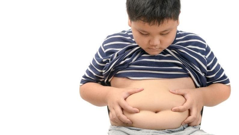 Apagar la hormona del hambre para acabar con la obesidad