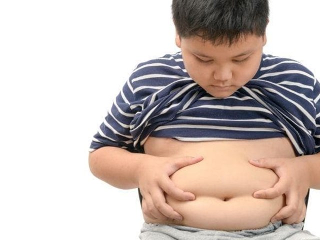 Apagar la hormona del hambre para acabar con la obesidad