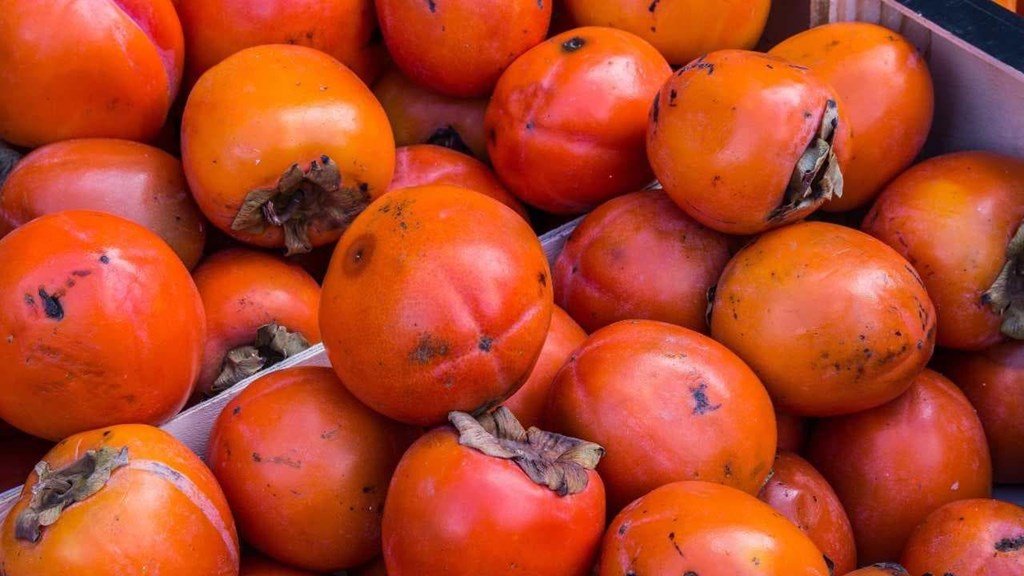 Beneficios del Caqui