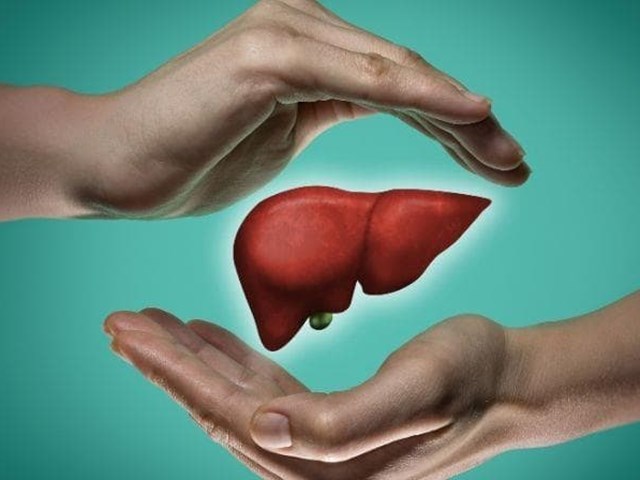 ¿Cuáles son los alimentos que dañan tu hígado? | Dietista en Vigo