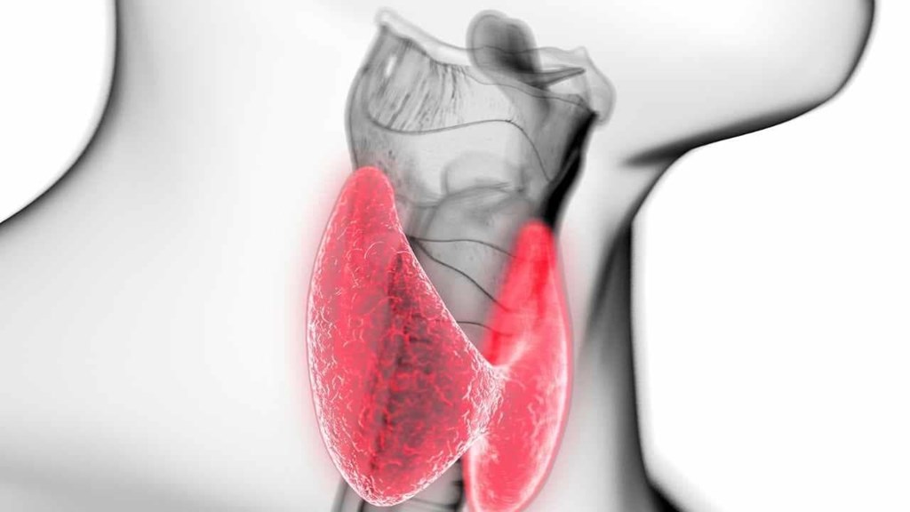 Hipotiroidismo : ¿Qué como?