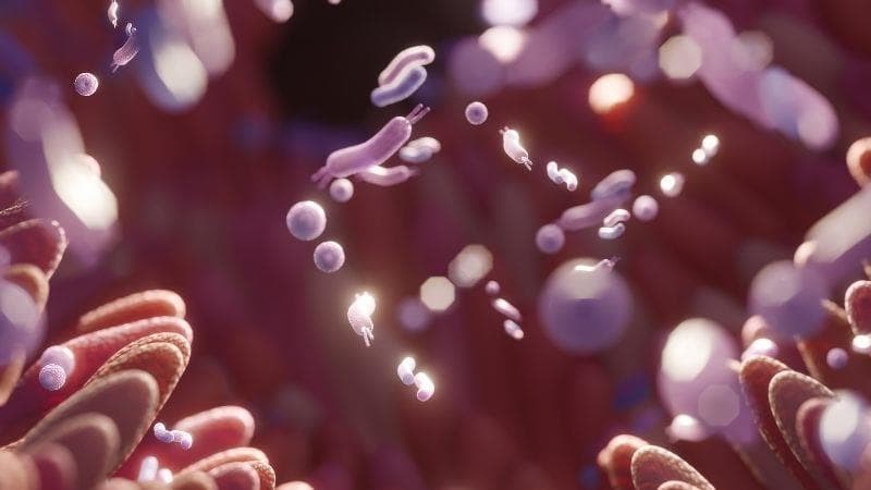 La microbiota: un universo interno que cuida tu salud.