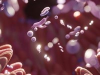 La microbiota: un universo interno que cuida tu salud.