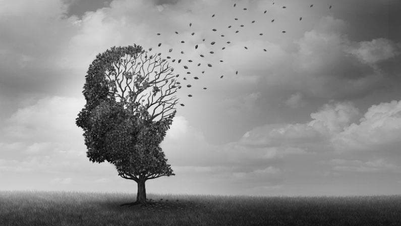 La relación entre la alimentación y el Alzheimer