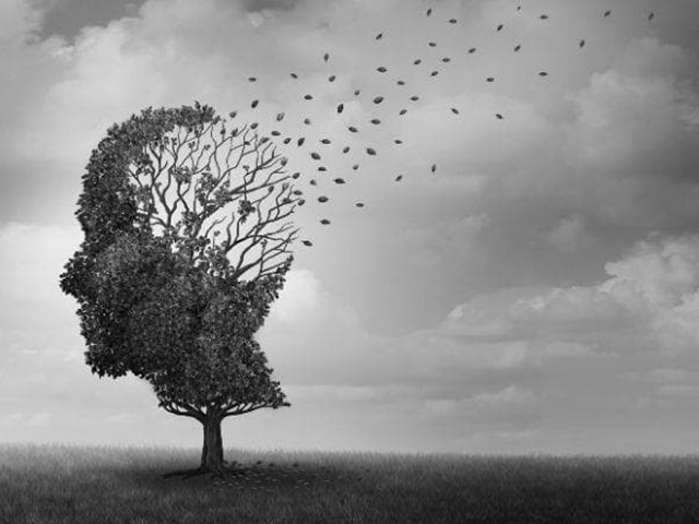 La relación entre la alimentación y el Alzheimer