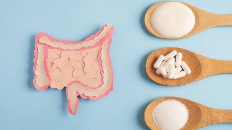 Optimiza tu bienestar desde la raíz: fortalece tu microbiota con probióticos