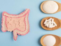 Optimiza tu bienestar desde la raíz: fortalece tu microbiota con probióticos