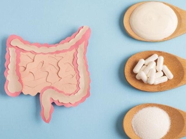 Optimiza tu bienestar desde la raíz: fortalece tu microbiota con probióticos