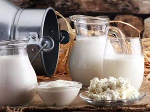 ¿Por qué elegir lácteos de oveja o de cabra en una dieta antinflamatoria?