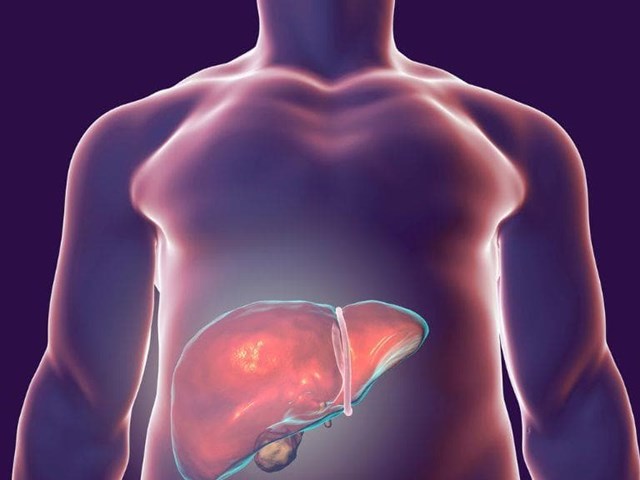 ¿Qué es el Metabolismo?