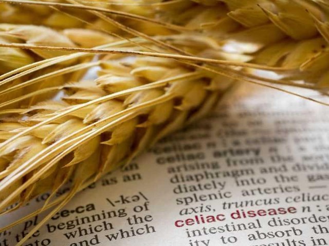 ¿Qué es la celiaquía?