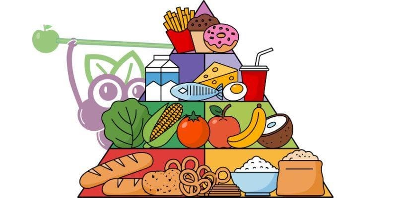 Reeducación de hábitos alimentarios: la clave que nadie te explicó sobre perder peso (y mantenerlo)