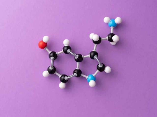 Serotonina, melatonina y triptófano | Dietista en Vigo