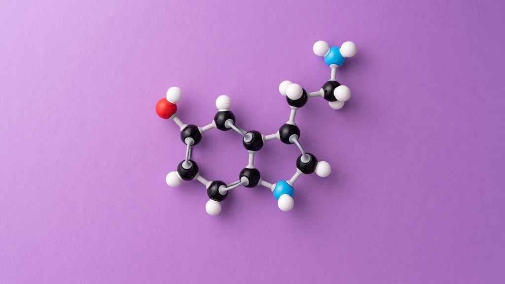 Serotonina, melatonina y triptófano